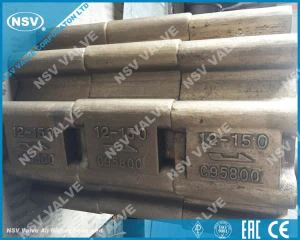 C95800 Comhla Seiceála Wafer